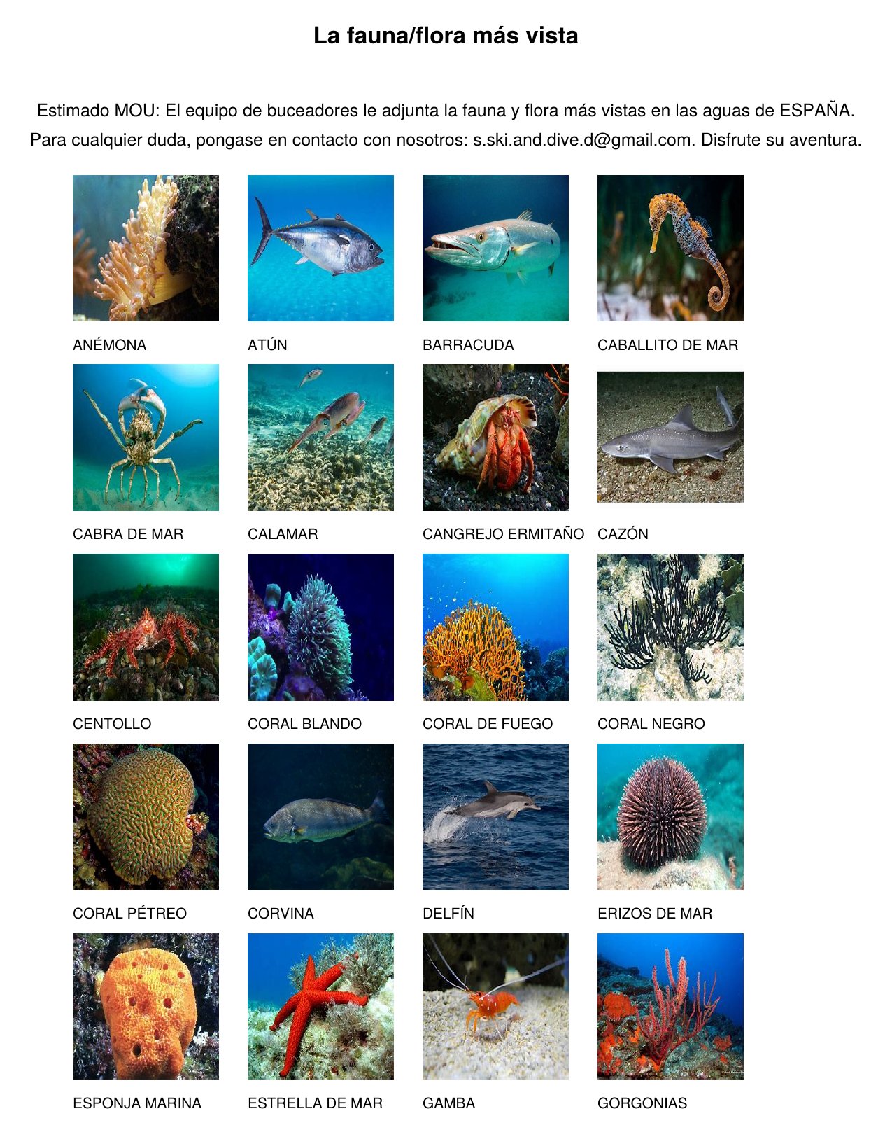 PDF personalizado con la fauna y flora del destino
